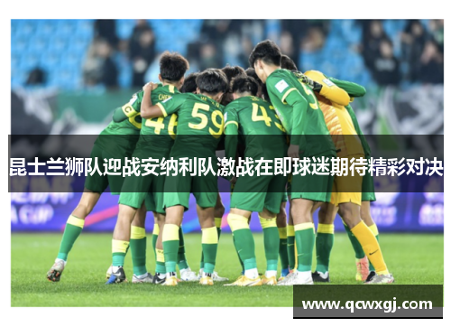 昆士兰狮队迎战安纳利队激战在即球迷期待精彩对决